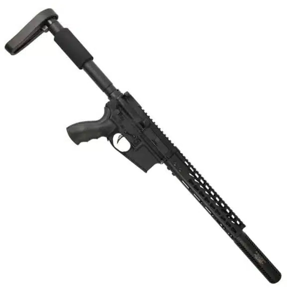 Modern tactical rifle with adjustable stock, handguard rail system, and long barrel.