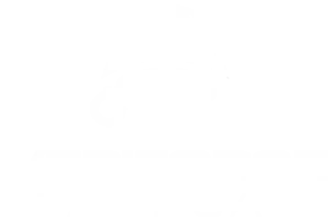 Veriforce Tactical Logo