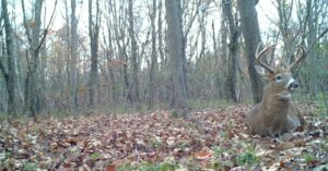 1 Shot Firearms Effort