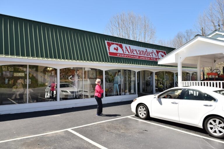 Alexanders Store Blairsville