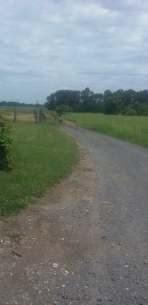 Buck & Doe Sporting Goods Dillwyn