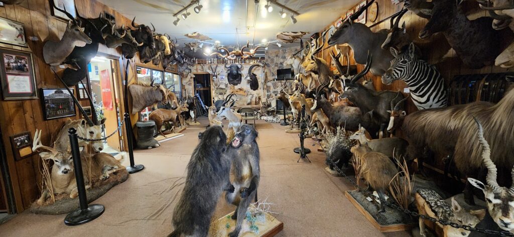 Dakota Archery & Outdoor Sports Yankton