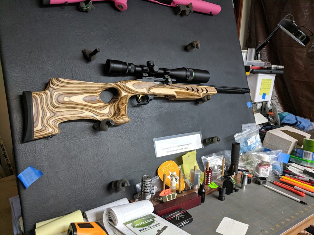 Heiers Custom Ruger 10/22S Belgrade