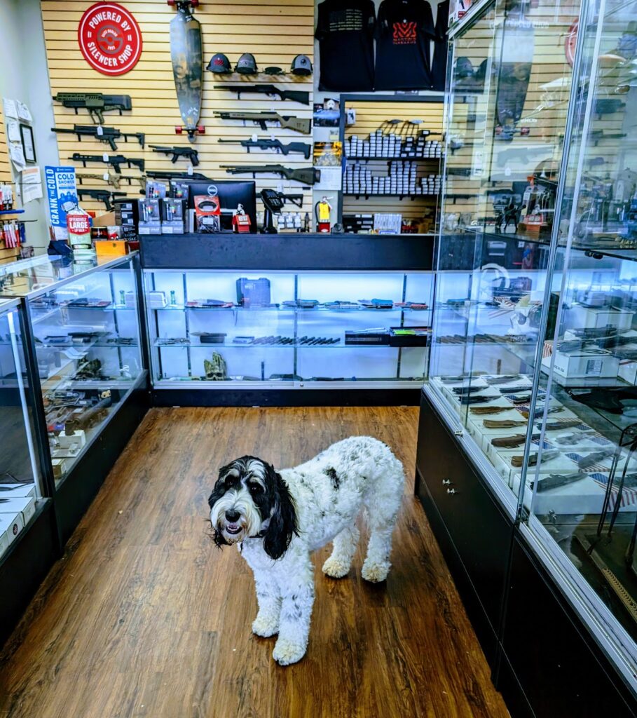 Martin’s Firearms Alpharetta