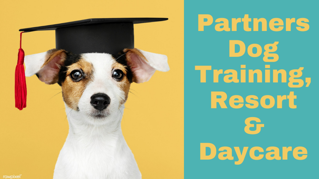 Partners Working Dogs Cave Creek